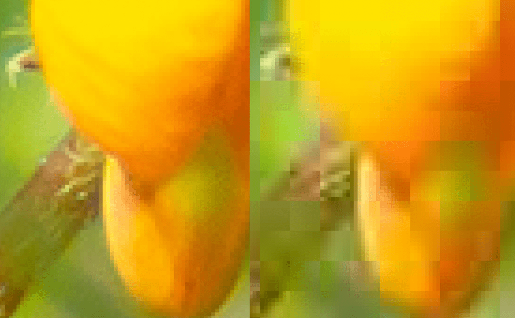 JPEG kvalitet 12 och 1